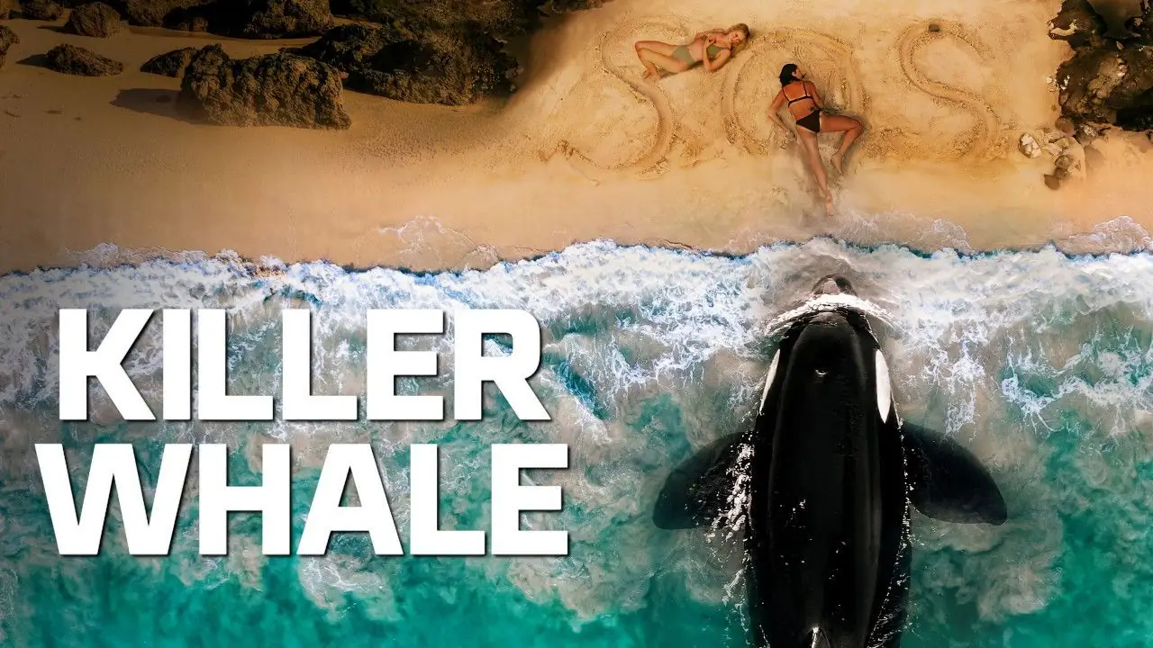 فيلم Killer Whale 2026 مترجم